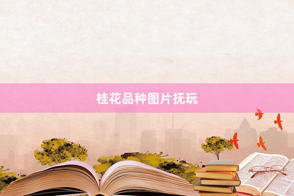 桂花品种图片抚玩