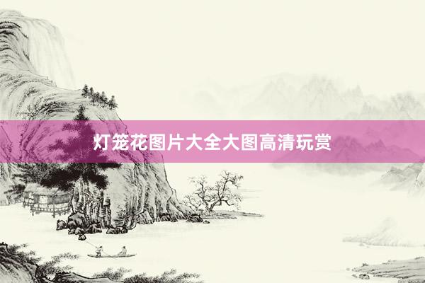 灯笼花图片大全大图高清玩赏