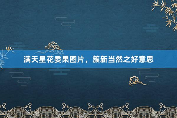 满天星花委果图片，簇新当然之好意思
